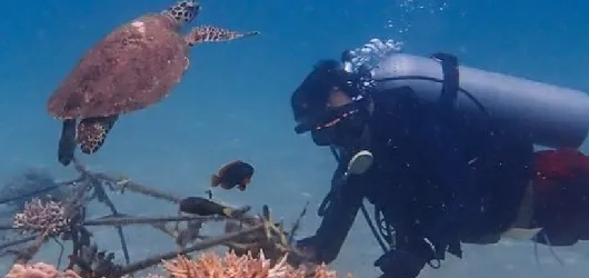 Tēnaka partners with Orange Business to scale its coral reef restoration program