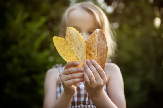 Prévenir et lutter contre les feux de forêts avec le numérique