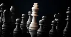 chess_dimasobko_fotolia.png