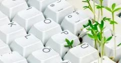 green_keyboard_fotoknips_fotolia_ok.jpg