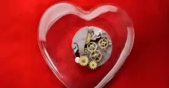 heart_pogonici_fotolia.jpg