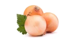 onion_natika_fotolia.png