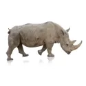 rhino_aaron_amat_fotolia.jpg