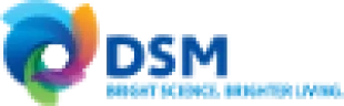 DSM logo