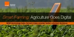 m2m-tech-digitally-transforming-sustainable-agriculture_blog.jpg